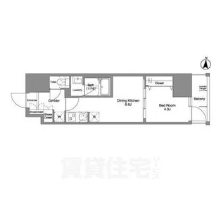 Daffitto錦糸町【12階】の間取り