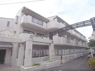 ホワイトプラザの画像