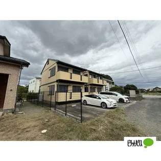 レトアさぎそうの画像