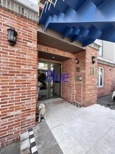 神奈川県鎌倉市岩瀬【マンション】の外観