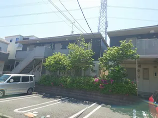 ノースポールBの画像