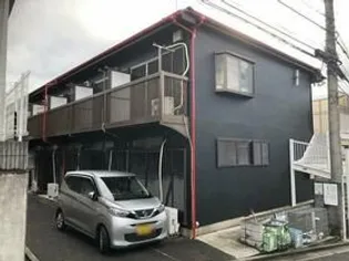 コートカメリアの画像