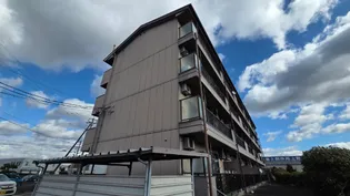 メゾフォルテMの画像