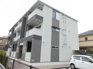 ブルーノの画像