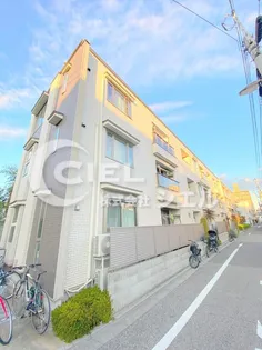 トラム リビオンの画像