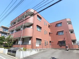 フィオレンテの画像