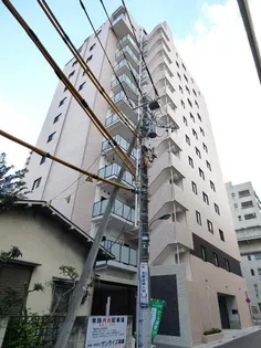 ステラ北進の画像