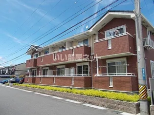 マレ ステルラの画像
