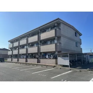 BERGEN SEAの画像