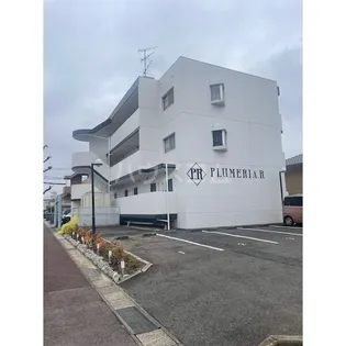 メイトーシェスタの画像