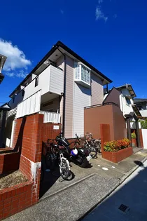 オアシスの画像