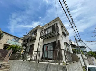 クランベリーの画像