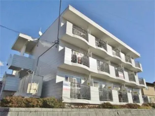 グレース天野の画像