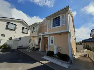 ライスンBIIの画像