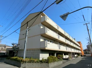 大阪府大阪市平野区平野市町2【マンション】の外観