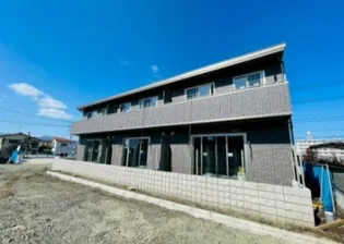 プルメリアの画像