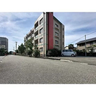 セルヴァン藍の画像