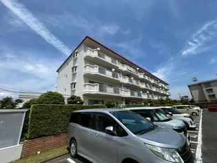 芳川ハイツ1号棟の画像