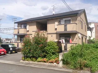 シエスタの画像