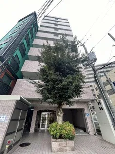 カーサー桜宮の画像