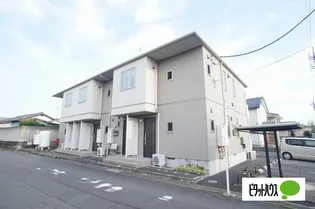 プルメリアの画像