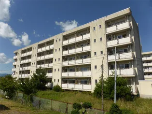 ビレッジハウス高木1号棟【3階】の外観