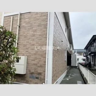 ネムノキの画像