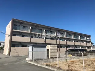 マエストロ斎宮の画像