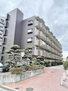 大阪府大阪市平野区喜連東5【マンション】の外観