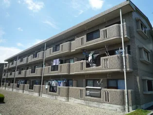 セラヴィIIの画像