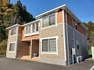 プラシードAの画像