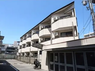 大阪府柏原市国分本町2【マンション】の外観