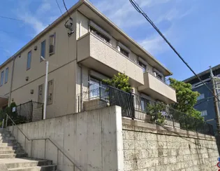 エルズ カリーノの画像