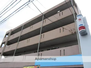 ロータスフラワーの画像