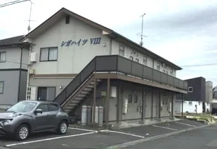 シガハイツVIIIの画像