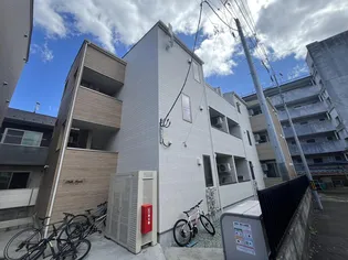 ステラ連坊の画像