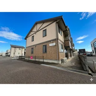 ウィルモアラパンの画像