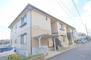 ハレルヤサワムラの画像