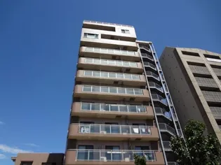 ティアラAの画像