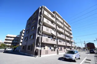 Y&M TAKAHASHI Iの画像