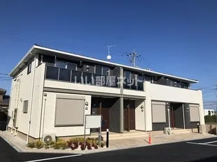 ミモザの画像