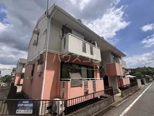 ペアグレースサクラAの画像