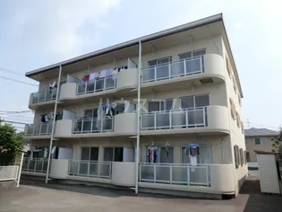 スカイコートエターナル【2階】の外観