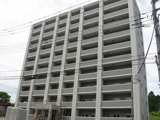 アルトカッシーナの画像