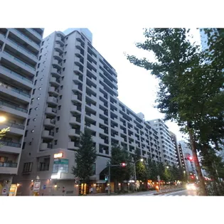 シティ音羽【11階】の外観