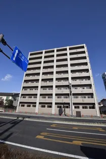 アマルフィーノの画像