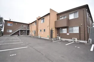 OOMS GRADOーGの画像