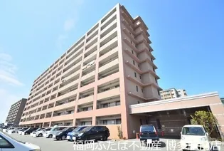 アイタス福岡の画像