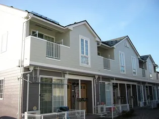 サンホワイトの画像