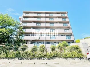 GRAND PA RISEの画像